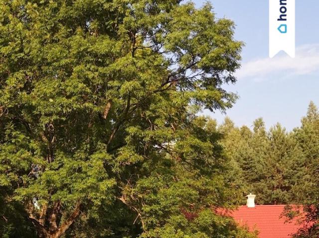 Dom na sprzedaż