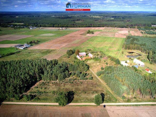 Dom na sprzedaż 5 pokoi Czarnków, 300 m2, działka 69800 m2