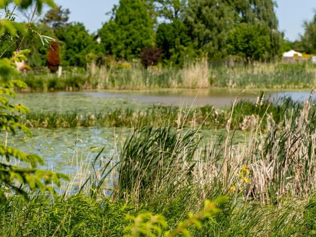 Dom na sprzedaż 5 pokoi Elbląg, 129 m2, działka 9400 m2