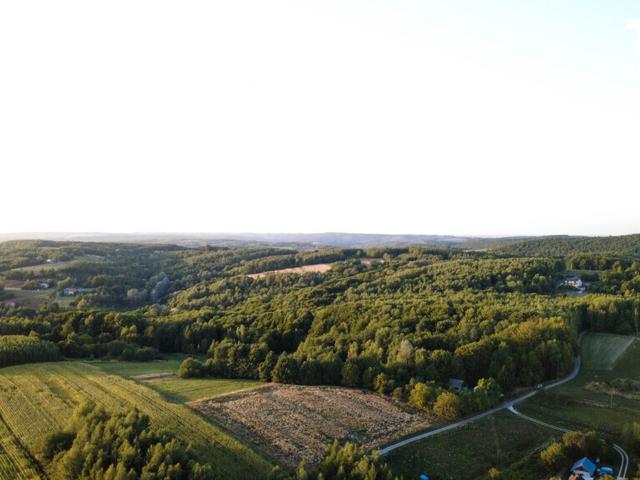 Dom na sprzedaż