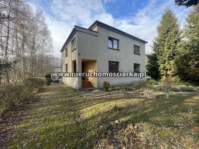 Dom na sprzedaż 6 pokoi wodzisławski, 180 m2, działka 3985 m2