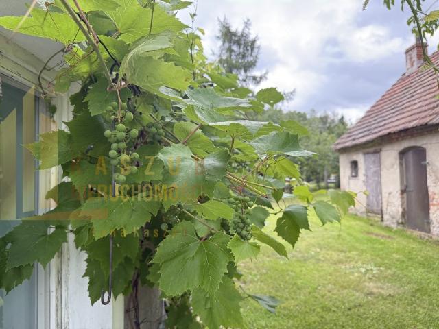 Dom na sprzedaż