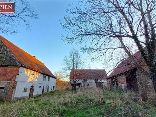 Dom na sprzedaż 8 pokoi lubański, 350 m2, działka 22000 m2