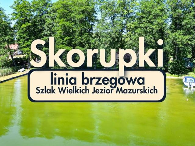 Dom na sprzedaż