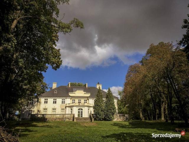 Dom na sprzedaż 10 pokoi rawski, 1150 m2, działka 46182 m2