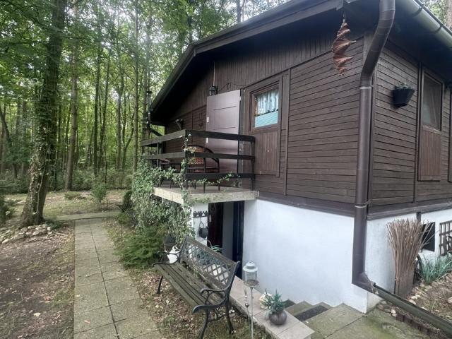 Dom na sprzedaż