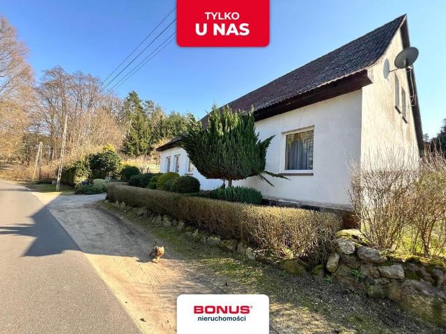 Dom na sprzedaż