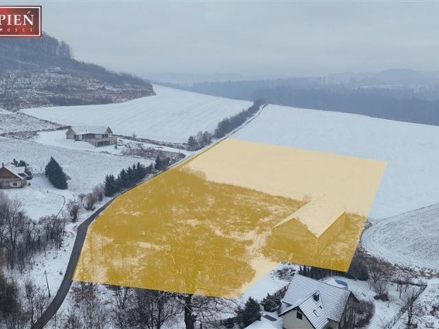 Dom na sprzedaż 15 pokoi karkonoski, 500 m2, działka 11587 m2