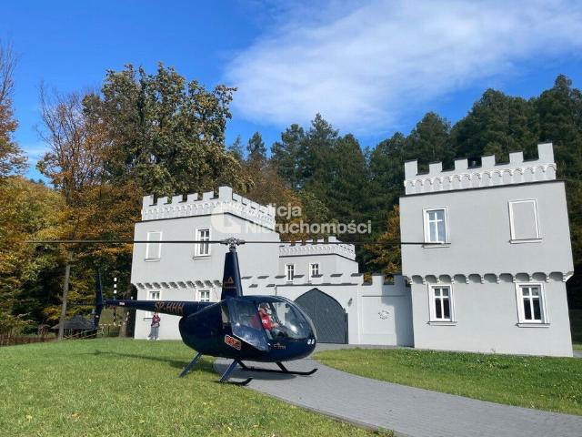 Dom na sprzedaż 15 pokoi sanocki, 450 m2, działka 15000 m2