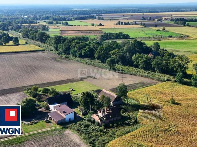 Dom na sprzedaż