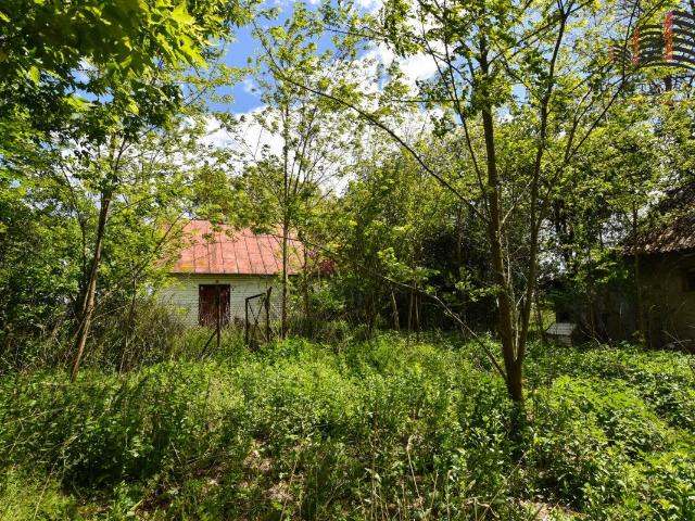 Dom na sprzedaż 2 pokoje puławski, 50 m2, działka 16497 m2
