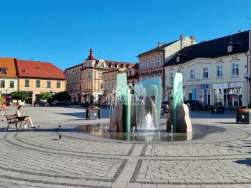 Dom na sprzedaż