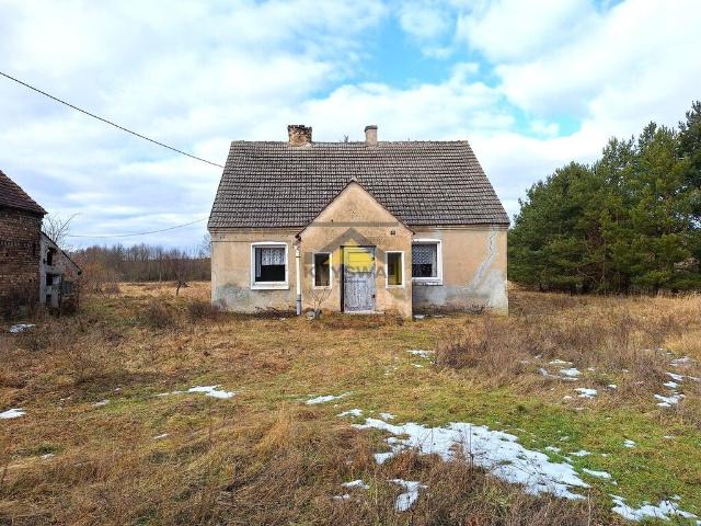 Dom na sprzedaż 3 pokoje gorzowski, 98 m2, działka 5501 m2