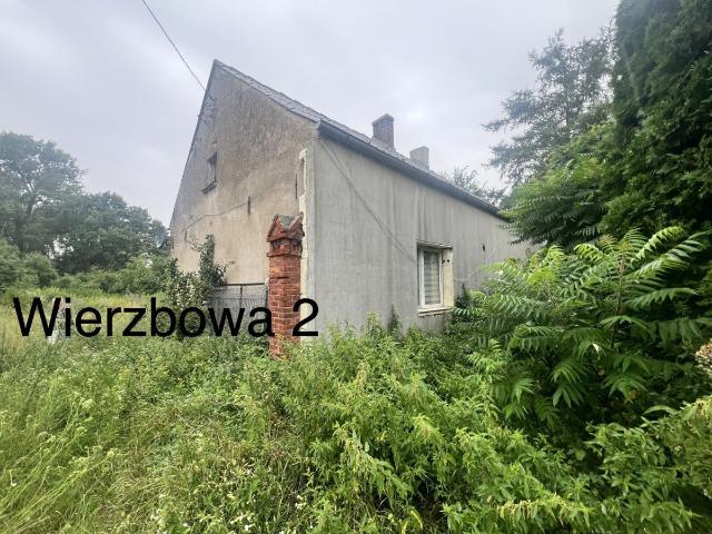Dom na sprzedaż 3 pokoje poznański, 100 m2, działka 7800 m2