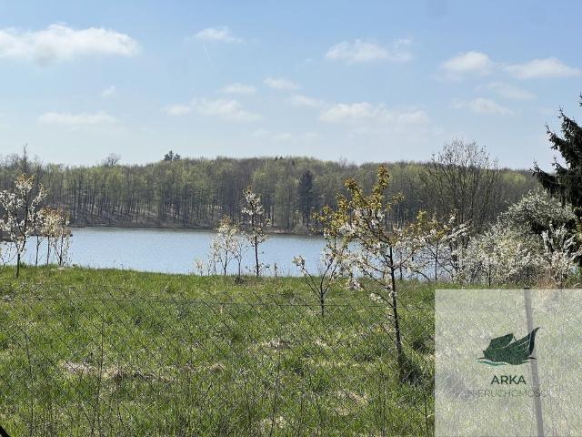 Dom na sprzedaż 3 pokoje stargardzki, 78 m2, działka 11601 m2