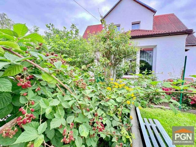 Dom na sprzedaż, Zagórska