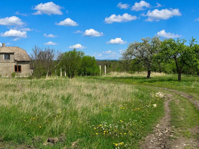 Dom na sprzedaż, Dąbrowa Górnicza, Błędów, Pustynna