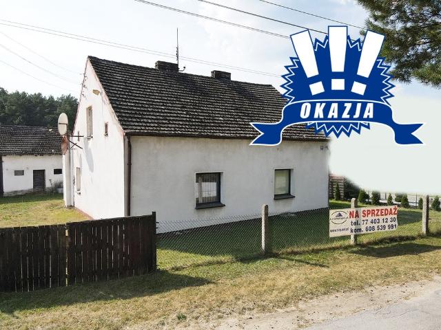 Dom na sprzedaż, Daniecka