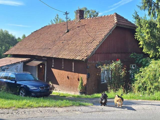 Dom na sprzedaż, Dworska