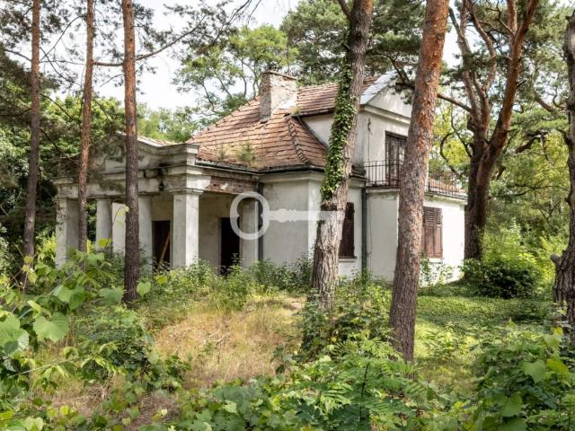 Dom na sprzedaż, Grodzka