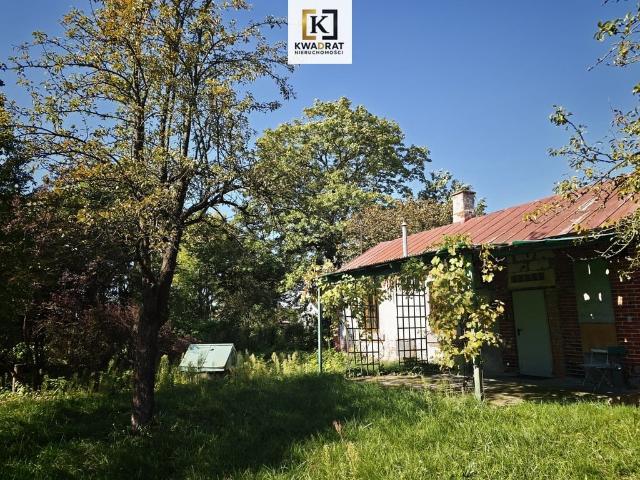 Dom na sprzedaż, Lipowa