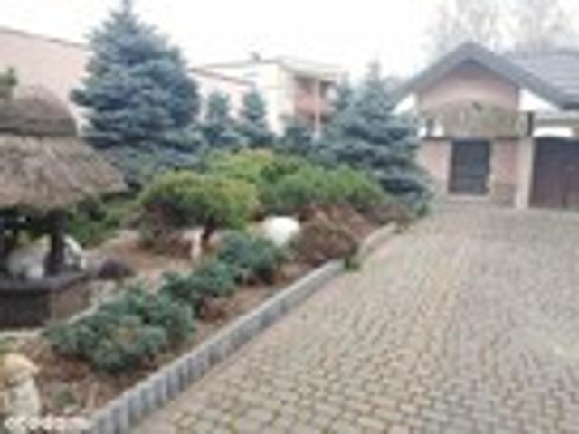 Dom na sprzedaż, Łódzka