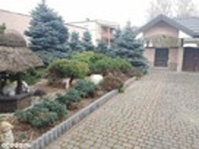 Dom na sprzedaż, Łódzka
