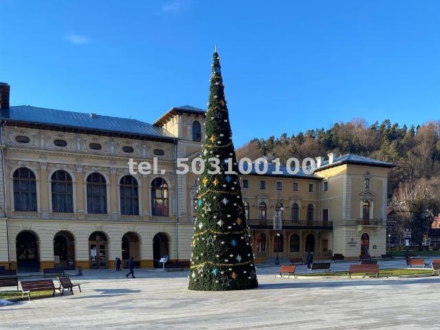 Dom na sprzedaż, Pułaskiego