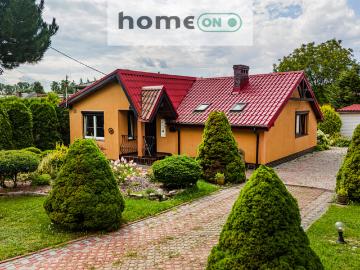 Feliks, Sosnowiec, Województwo śląskie