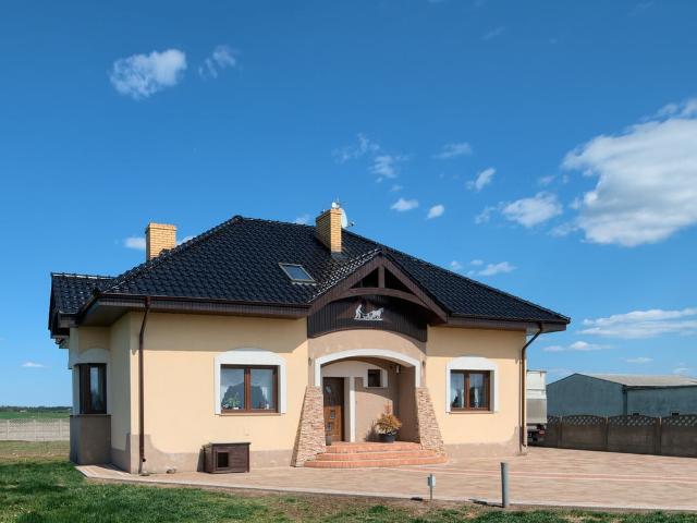 Dom na sprzedaż, Stęszewska