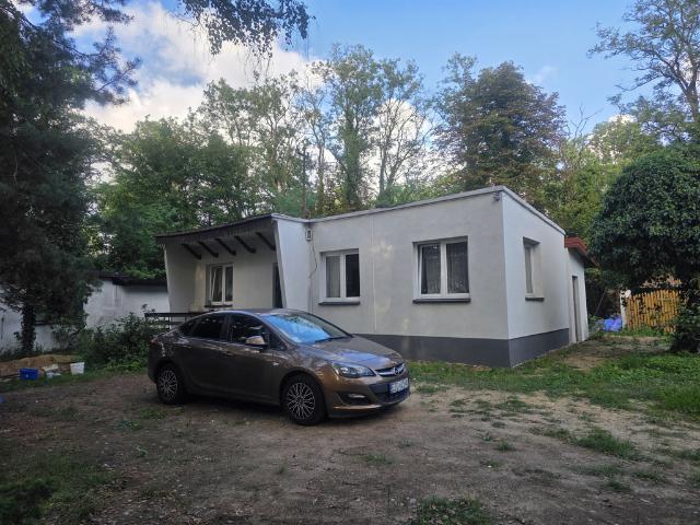 Dom na wynajem