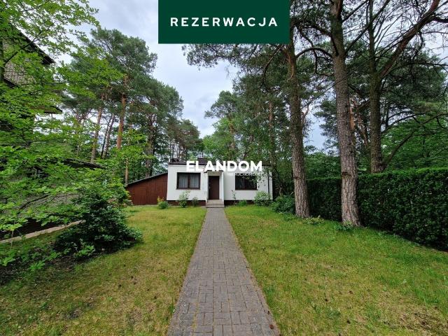 Dom na wynajem