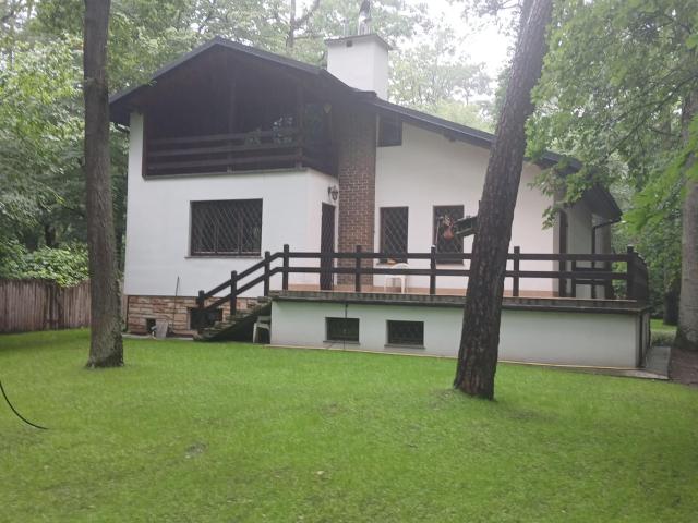 Dom na wynajem