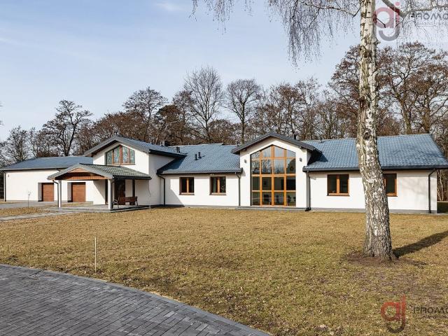 Dom na wynajem, Wróblewska