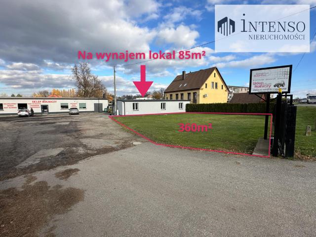 Dom na wynajem, Wyzwolenia