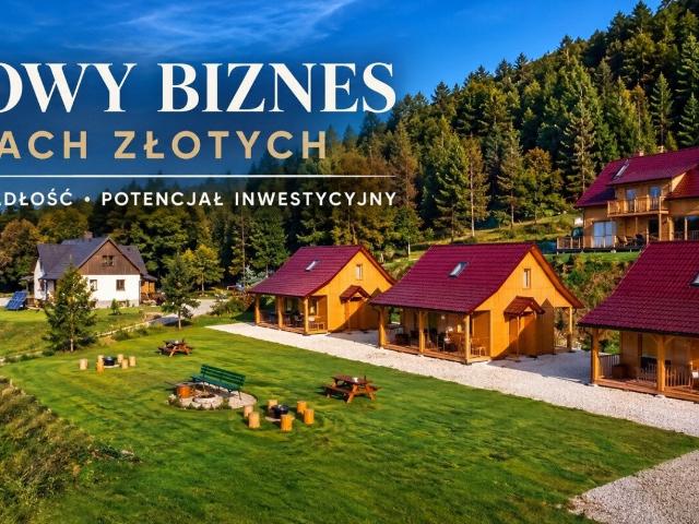 Dom, Radochów, 300.00 m², sprzedam dom