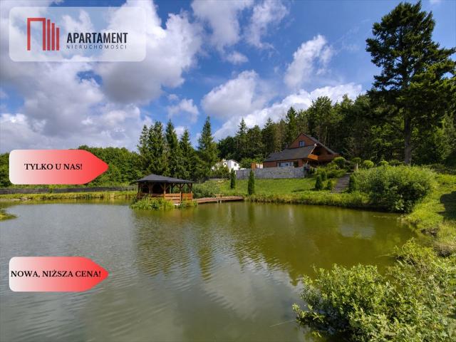 Dom wolnostojący z basenem i stawem zapraszam