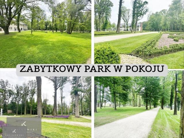 Dom wolnostojący 234 m² duża działka 28 arów w Pokój