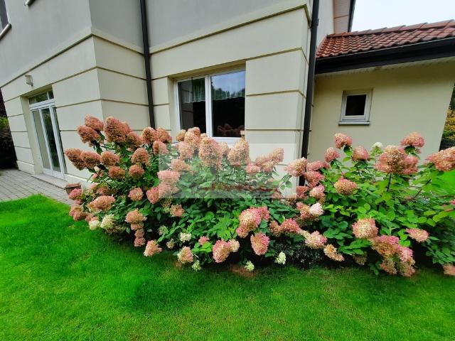 dom wolnostojacy wynajem LIPKÓW