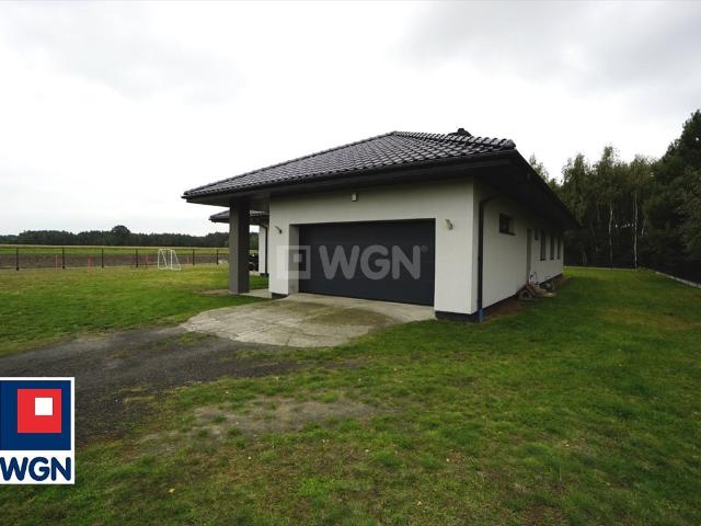 Dom z własnym lasem na 7300 m² w Zosinkach wielkopolskie