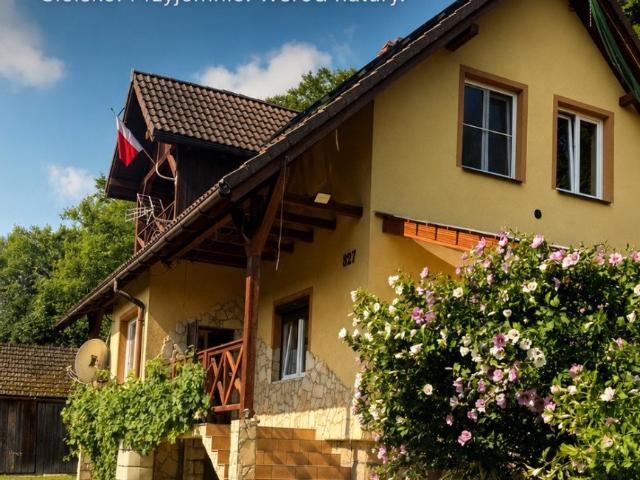 Dom z widokiem na Dunajec 130 m², ogród 32 arów
