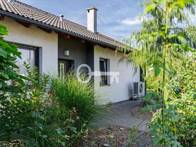 Dom z wysokim sufitem i tarasem 50 m² polecam