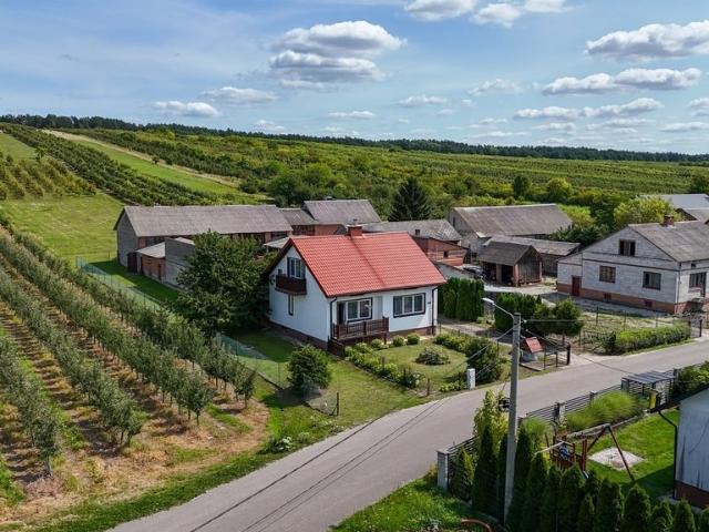 Dom z dużym zapleczem gospodarczym i 8111 m² gruntu