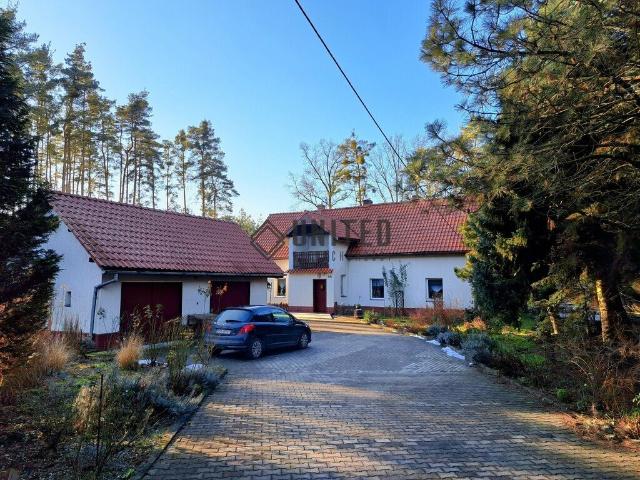 Dom z dużą działką i lasem, gotowy do zamieszkania