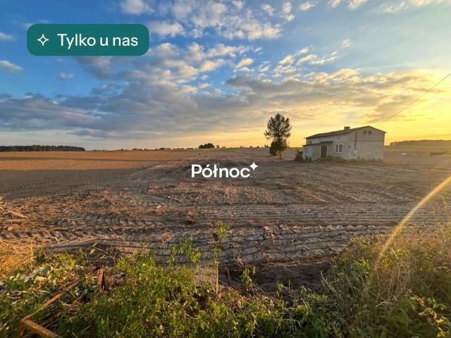 Dom z dużą działką i potencjałem inwestycyjnym polecam!