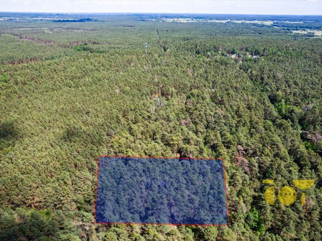 Dom z dużą działką w Wildze potencjał i prywatność polecam