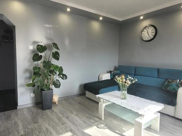Dom z potencjałem dla rodziny lub firmy – 161 m²