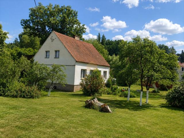 Dom z potencjałem inwestycyjnym w Dąbiu, 90 m²