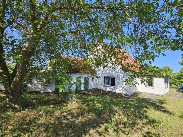 Dom z potencjałem na dużej działce 5600 m² w Lubieszynie polecam!