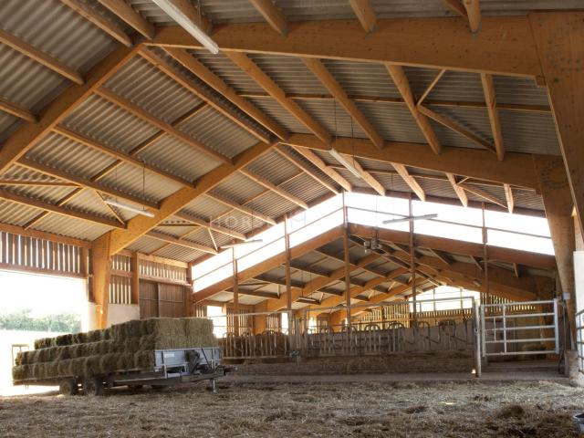 Belle propriété pour projet équestre et touristique 800m² Castres